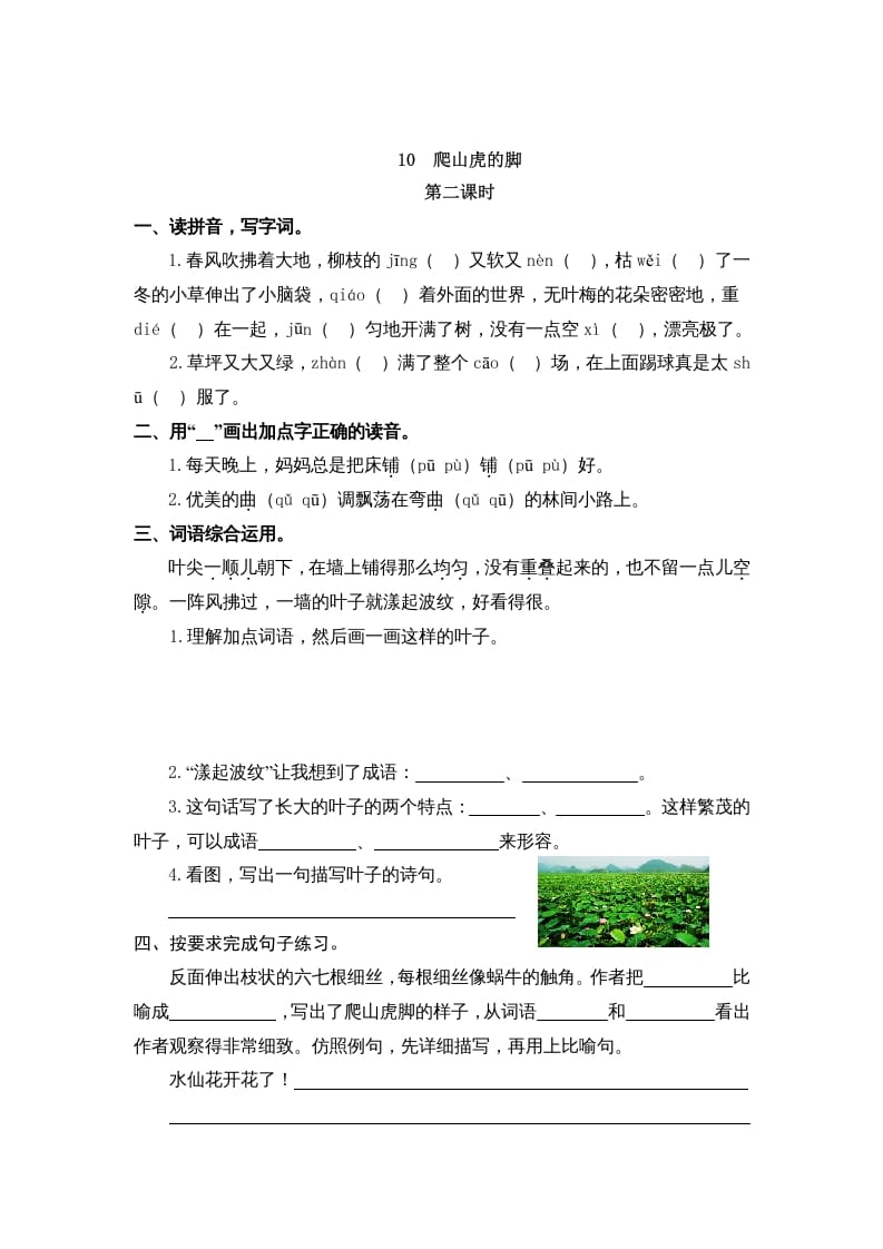 图片[3]-四年级语文上册10爬山虎的脚-启智优学网