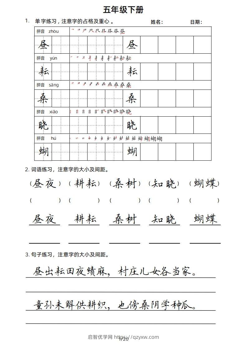 5年级下楷书-启智优学网