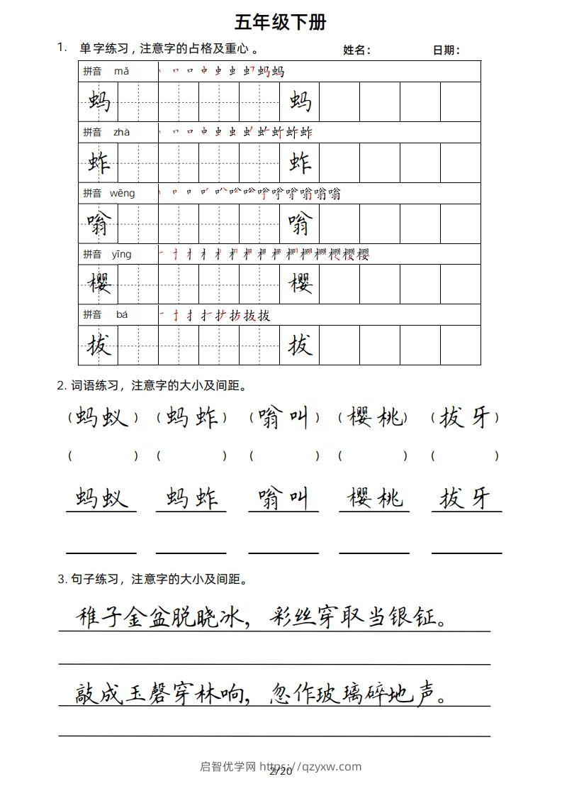 图片[2]-5年级下楷书-启智优学网