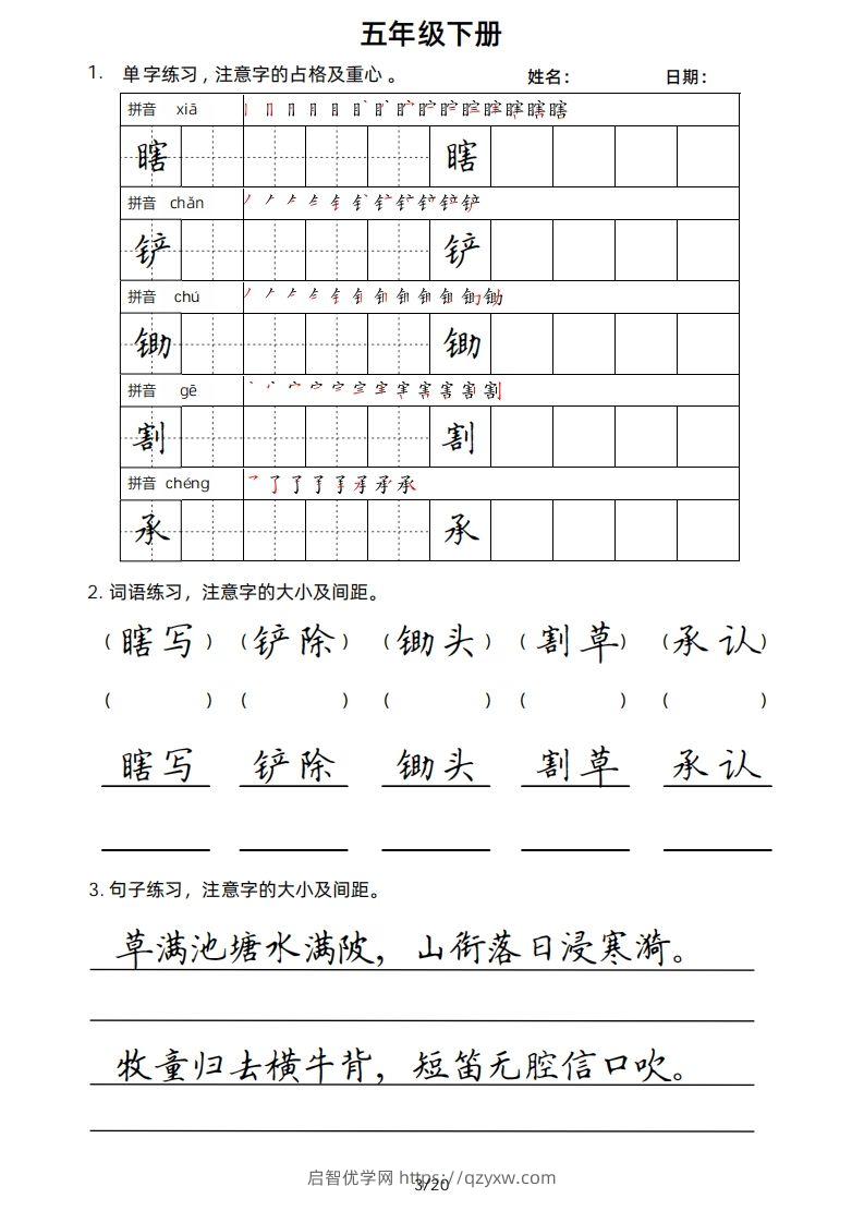 图片[3]-5年级下楷书-启智优学网