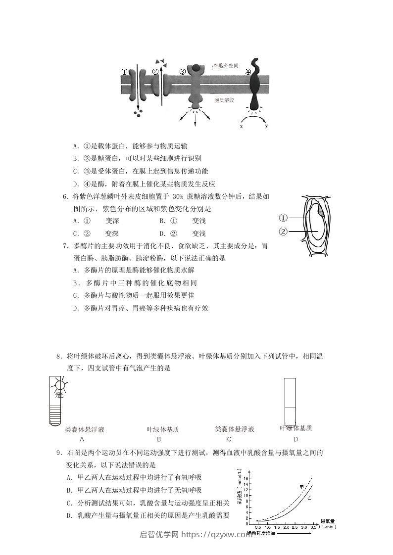 图片[2]-2019-2020年北京市房山区高二生物下学期期末试题及答案(Word版)-启智优学网