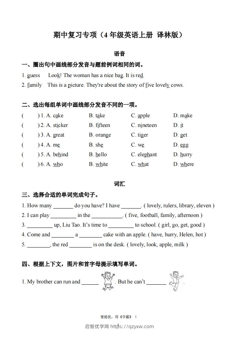 期中复习专项（四上英语译林版）-启智优学网