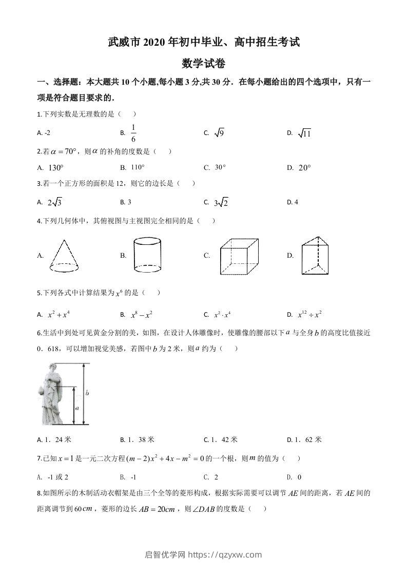 甘肃省武威市2020年中考数学试题（空白卷）-启智优学网