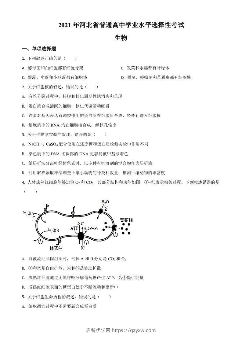 2021年高考生物试卷（河北）（空白卷）-启智优学网